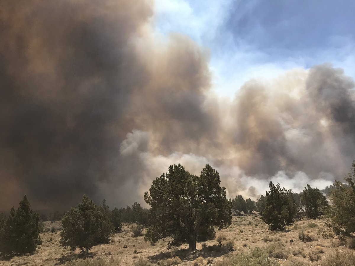 TMFPD's tweet image. #TMFR is supporting combating the #NumbersFire with our neighbors in Douglas County. We have seven firefighters and a brush engine. Good luck to all, and be safe. 🚒🇺🇸