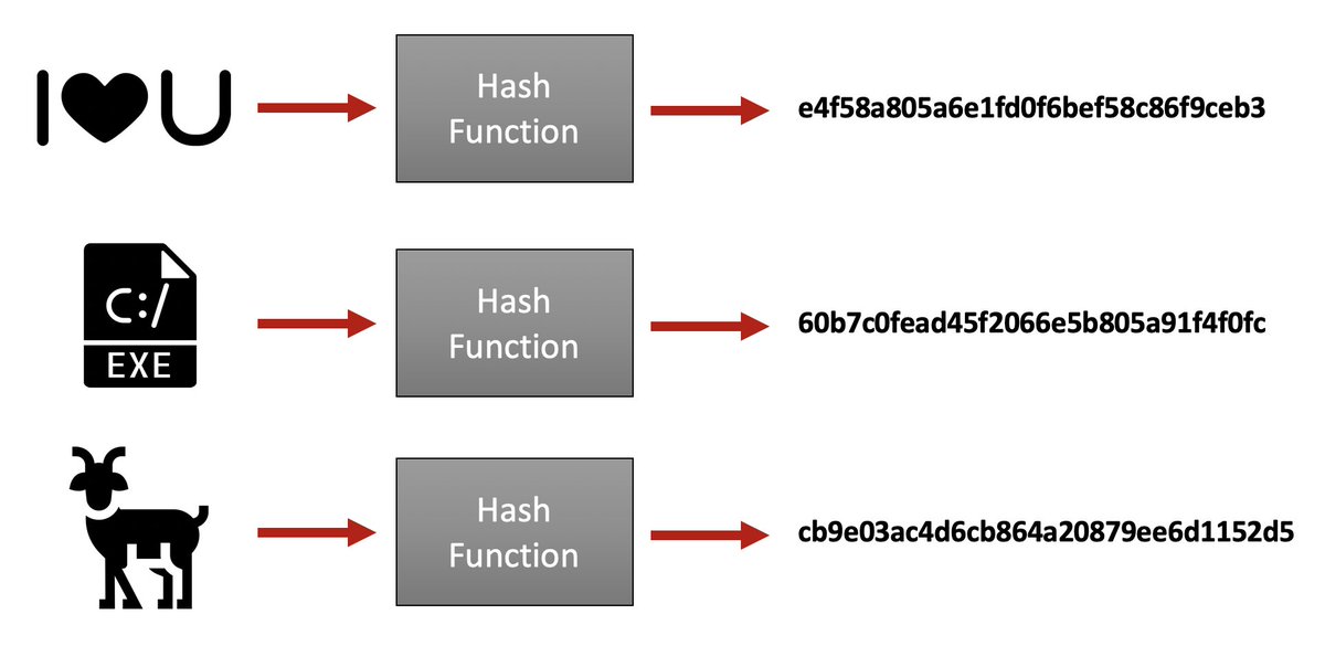 You can think of a Hash Function like a magic fingerprint reader. You can enter any data into the hash function, and it will spit out a fingerprint.