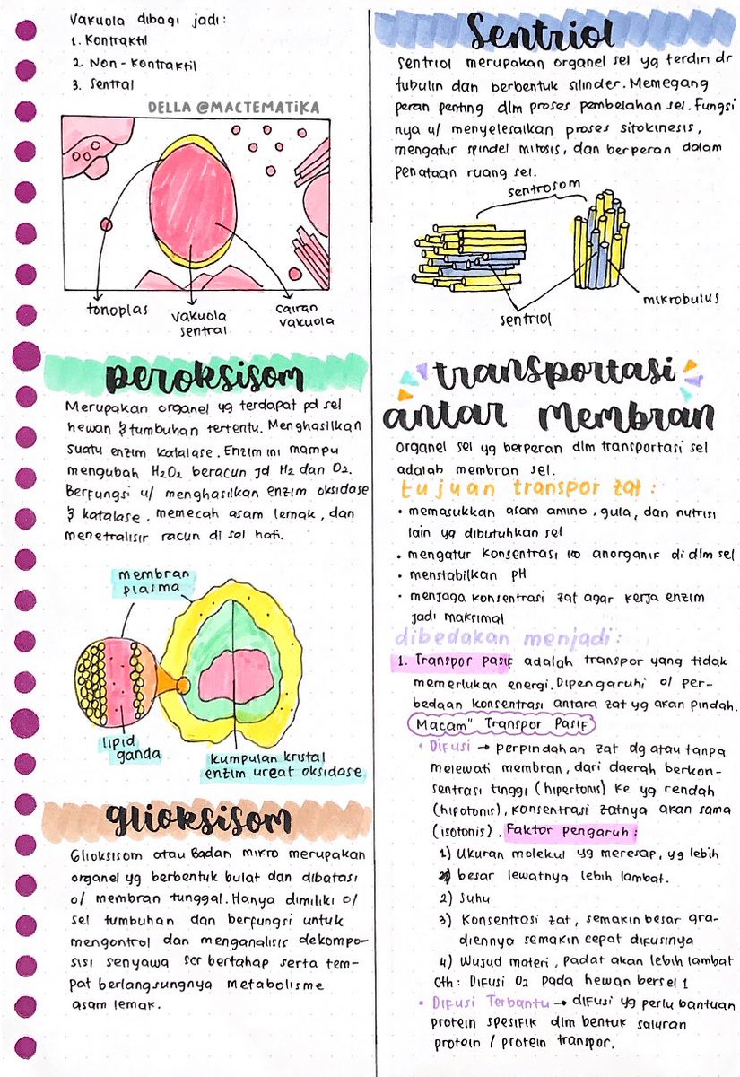 Sel-sel hati mampu mengubah