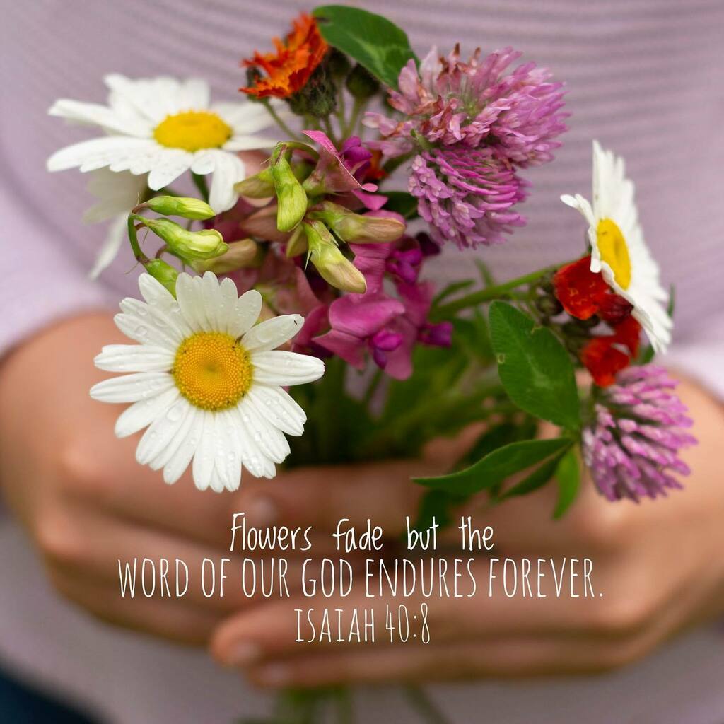 Lakeside Community Church tweet media