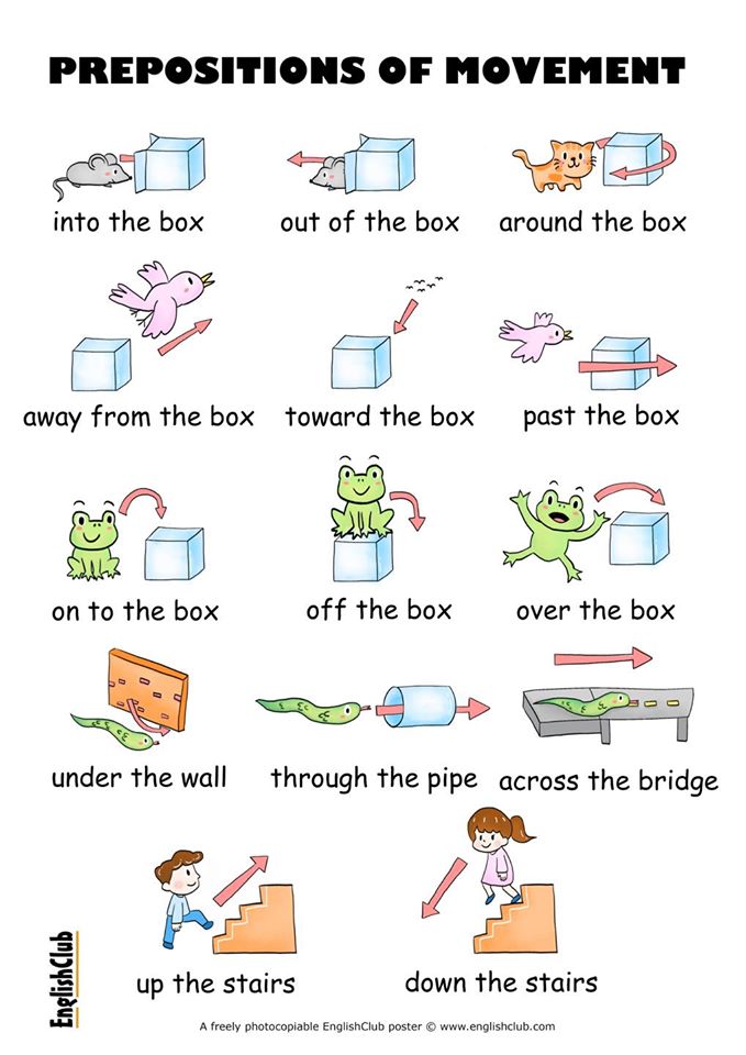 GeorgesEnglish's tweet photo. #prepositions from https://t.co/qwHeQ3pNuA
#vocabulary #efl #esl #tefl #elt #elf #eflpractice #learnenglish https://t.co/sPmVNcg13g