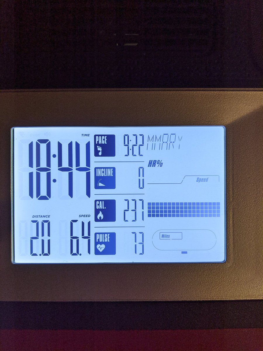 runnerantics's tweet image. Shakey, sweaty cooldown photo. Really got moving today with a walk, run, and some core!!
.
#runner