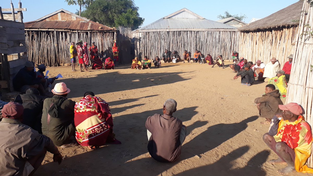 Jayah_Jacket's tweet photo. validation of the wild yam conservation strategy at the community level #Menabe_Antimena_Area_Protected (APMA) #Morondava #Menabe_Region #AprilTrust, @Darwin_Defra, @TeamKMCC https://t.co/6IWTZuZjIb