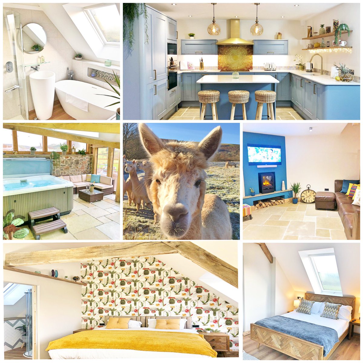 BreconRetreat's tweet photo. @msm4rsh 

🏡💕 If you’re looking for something extra special; we have a collection of unique 5 Star Luxury properties located in #BreconBeacons 

💦 Private Hot Tubs/spa baths

Take a peek at  🦙☀️ #AlpacaLookout - we could transport you to Peru! 

https://t.co/nvv1FVMjwP https://t.co/jDn3AAXGiR