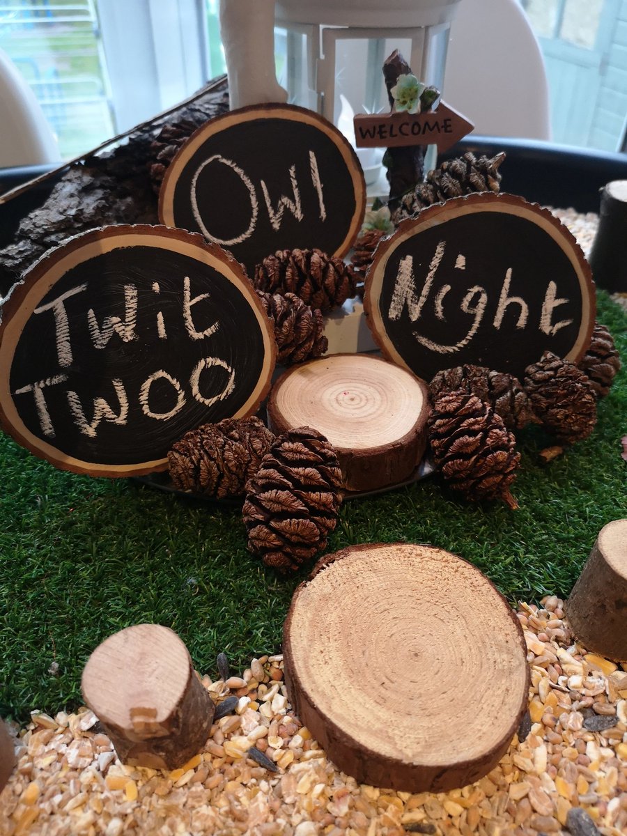 allthingseyfs's tweet photo. We have a member who is keen on owls, i have some salt dough ready for them to make an owl with snowy feathers to stick into it if they wish to dry and hang on this tree #eyfs #earlyyears #curiousityapproach #childcare #nature #EYMatters #TeamEarlyChildhood #EYtwittertagteam https://t.co/lHnUW2oE8z