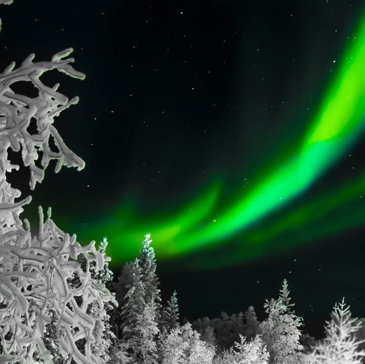 🇫🇮 Das Sprachenzentrum <a href="/HhuSpz/">Sprachenzentrum Heinrich-Heine-Universität</a> der #HHU erhält erneut finanzielle Unterstützung der Finnish National Agency for Education (<a href="/EDUFI_HigherEd/">EDUFI HigherEd</a>)!