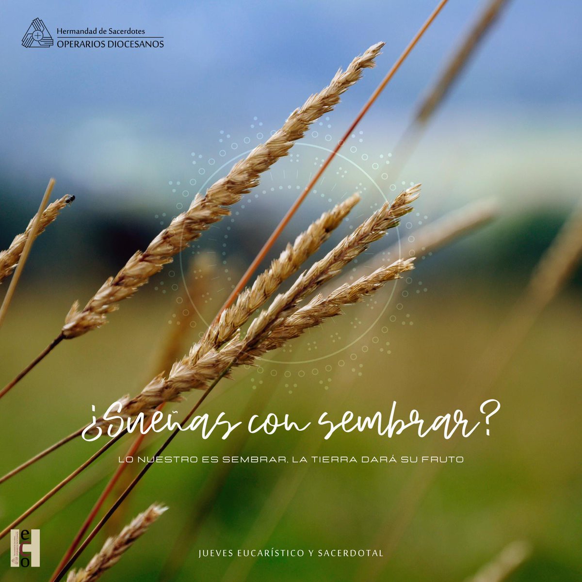 operarios's tweet photo. ☀️¡Buenos días! ☀️

🙏Comencemos bien el día poniéndonos delante del Señor 🙏

#JuevesEucarístico #JuevesSacerdotal #OperariosDiocesanos https://t.co/VYslF6nPcH
