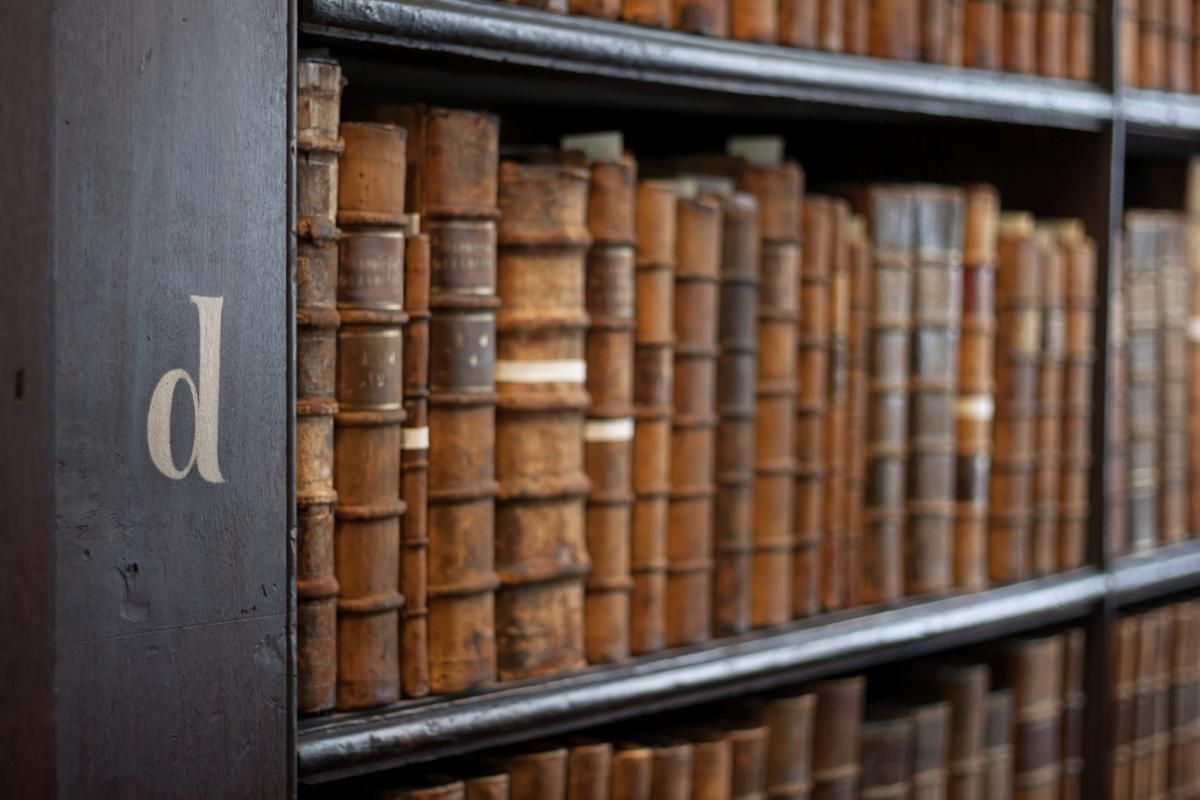 computerhoy's tweet photo. 12 bibliotecas digitales que puedes consultar gratis, y en castellano. https://t.co/VnVOyEJ9Za https://t.co/FVyZRkFjk4