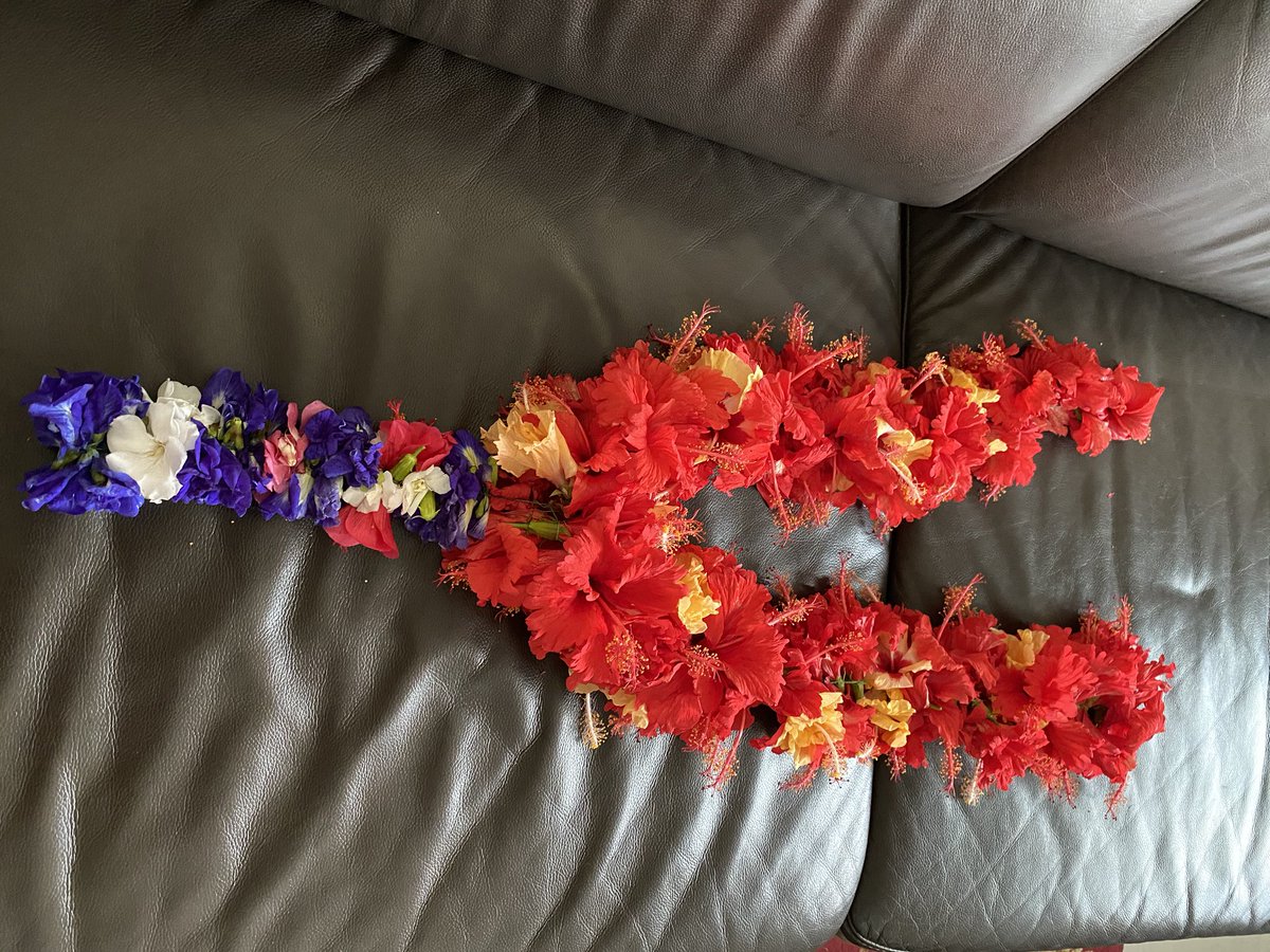 prasannasanthi's tweet photo. #Special #FlowerWorship_Prasanna #FlowerDecorations_Prasanna . Today prepared Garland with 108 Hibiscuses flowers to thank My Lord Krishna for providing me a great happy life as we have completed 36 years of happy married life together today . https://t.co/Jtf7mfGn4x