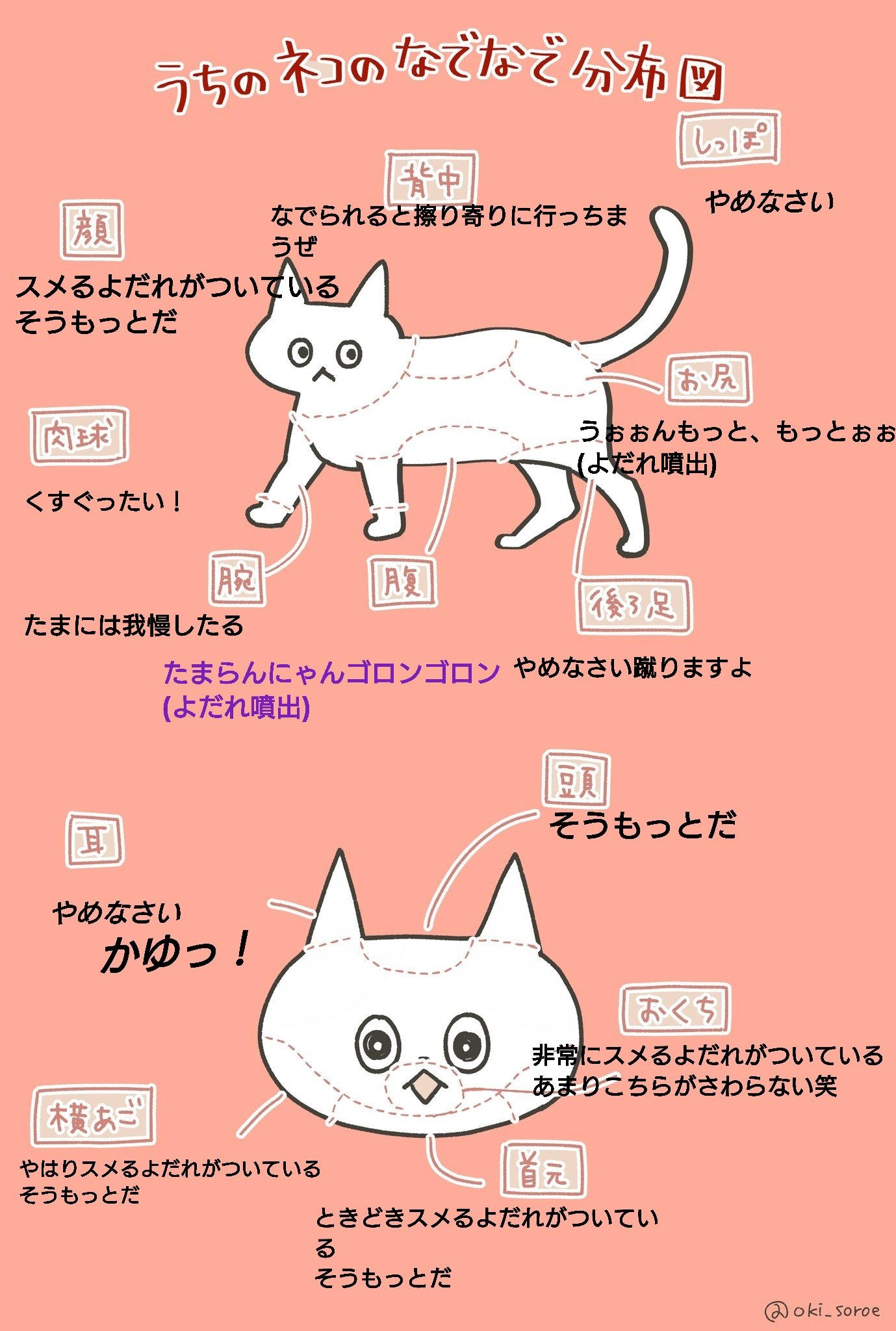 うちのネコのなでなで分布図 Twitter