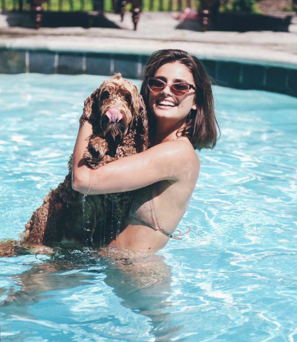 Taylor_mhill's tweet photo. Look at this guy... 🐶 #TateTuesday https://t.co/j7YSdrjyaq