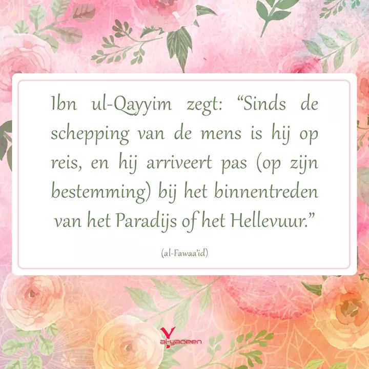Wij zijn continu op reis...
