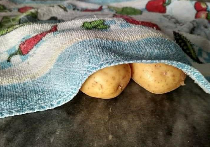 fezani's tweet photo. escondidinho de batata
me sigam para mais receitas https://t.co/3g4ohvvCR9