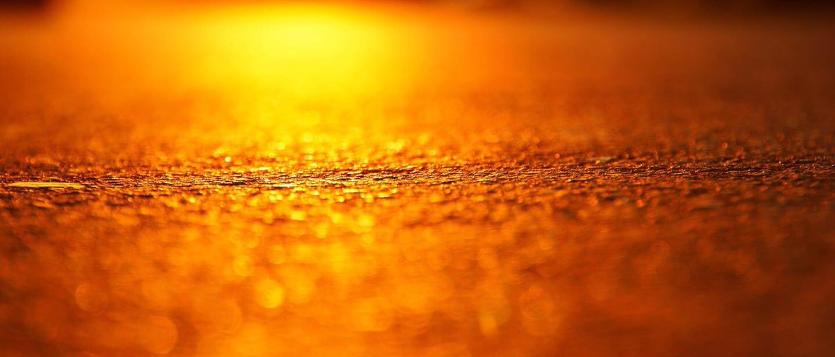 YourSPCA's tweet photo. With temperatures close to or surpassing 90, beating sun on the ground, how long could you walk barefoot? Hot sidewalks + sensitive paw pads=not a good combo. The ground can heat up to an unbearable temperature within mere minutes. Summer pet tips:
https://t.co/om7IjxiSVA https://t.co/4ExQwjQftx