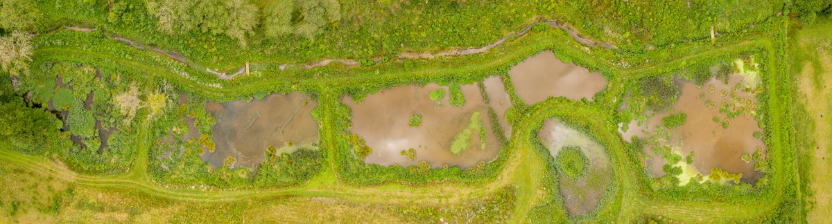 Had a great day photographing &amp; filming a few sites for <a href="/N_Rivers_Trust/">Norfolk Rivers Trust</a>. Aerial showing the new wetlands they have created to clean the water from a water treatment site before it returns to the river. Great idea and has created a habitat for a huge diversity of life.