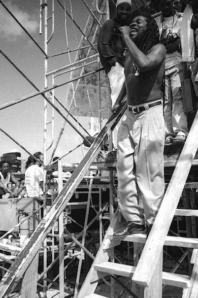 Brigadier Lion tweet media