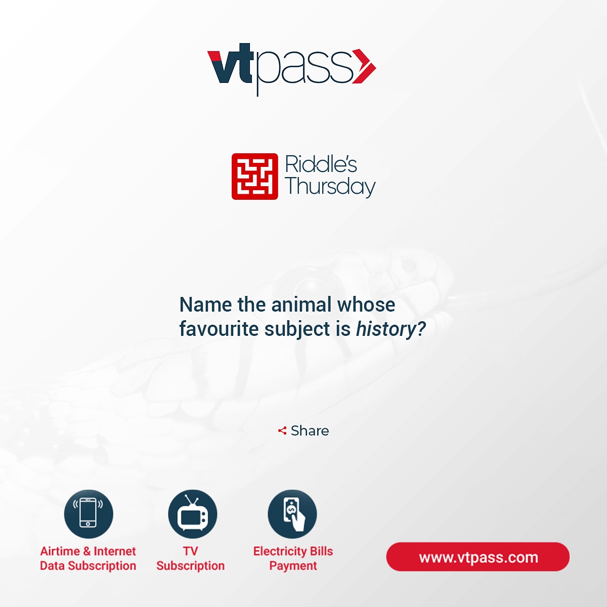 vtpass's tweet photo. #RiddleThursday 😌How many of you watches Nat Geo Wild or Animal Network?🐯🦓🐧
#riddlesandjokes #riddles #vtpass #tvsubscription #onlinepayment #funday #jokes #gotvsubscription #dstvsubscription #startimesubcription https://t.co/Bp9jLiI6cM