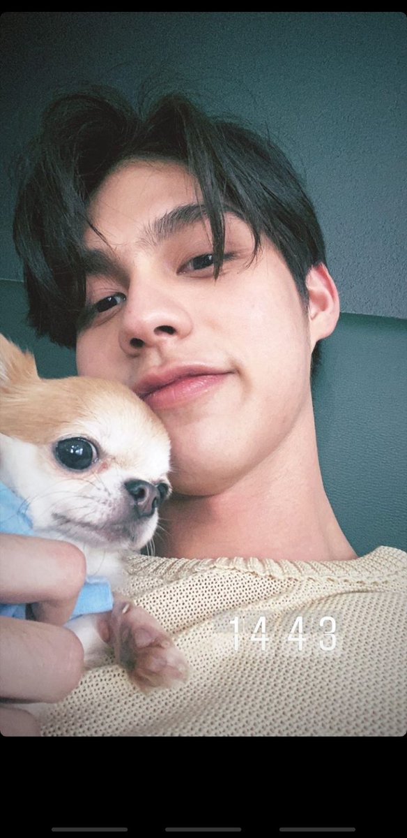 yourultimatebae's tweet photo. daddy Bright holding baby Charlotte! 🐶
#BrightWin @bbrightvc @winmetawin https://t.co/ssyIO2HpNV