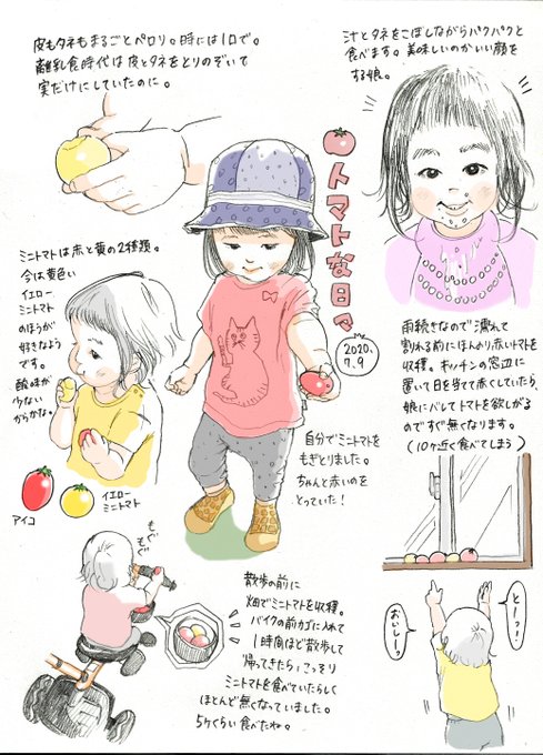 トマトな日々。毎年食べきれず冷凍庫がトマトストックでいっぱいになるんですが、今年はどうかな? 