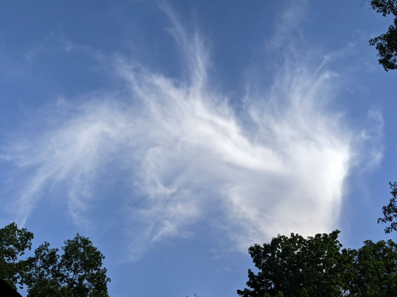 AndiFerguson1's tweet photo. #PhotoOfTheDay. #adverb #clouds appear #whimsically #worringly #wispily in the sky https://t.co/6gIxdNOj59