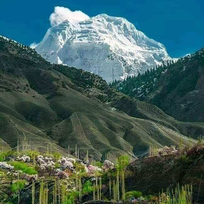 worldad93422525's tweet photo. Tirich Mir, the highest mountain at Hindukush range Chitral Pakistan.
#travelling #climber #climbing #himalayan #karakorum #hindukush #chitral #northpakistan #trekking #technicalclimbing https://t.co/DlYY0KlNRz https://t.co/OOgcDfvDtl