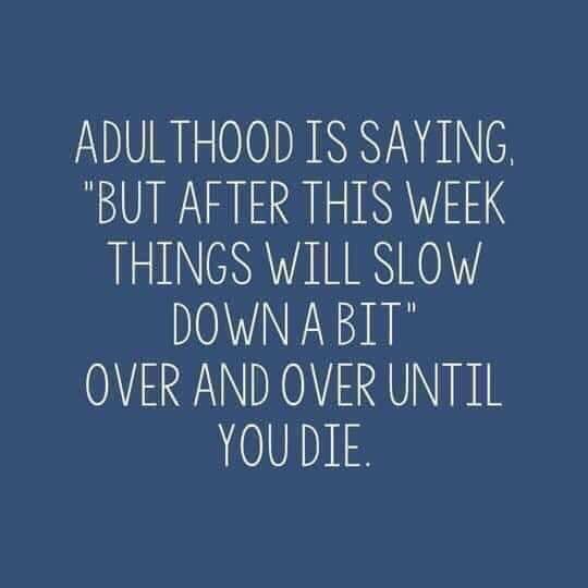 mariedevlin2's tweet photo. I said this last night...my husband promptly told me I’d said it last week too...doh!😩 https://t.co/kPSbg3nPCE