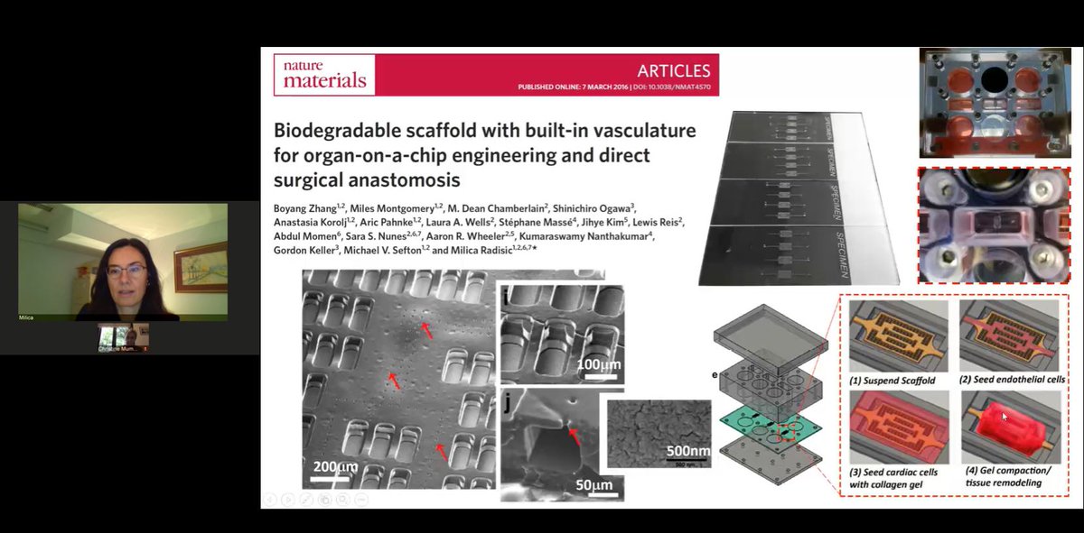 Euroocs_conf's tweet image. The final two keynotes have startet. Thank you @milicaruoft for getting up so early to present how to leverage #Biomaterials for #vascularization of #OrganOnChip