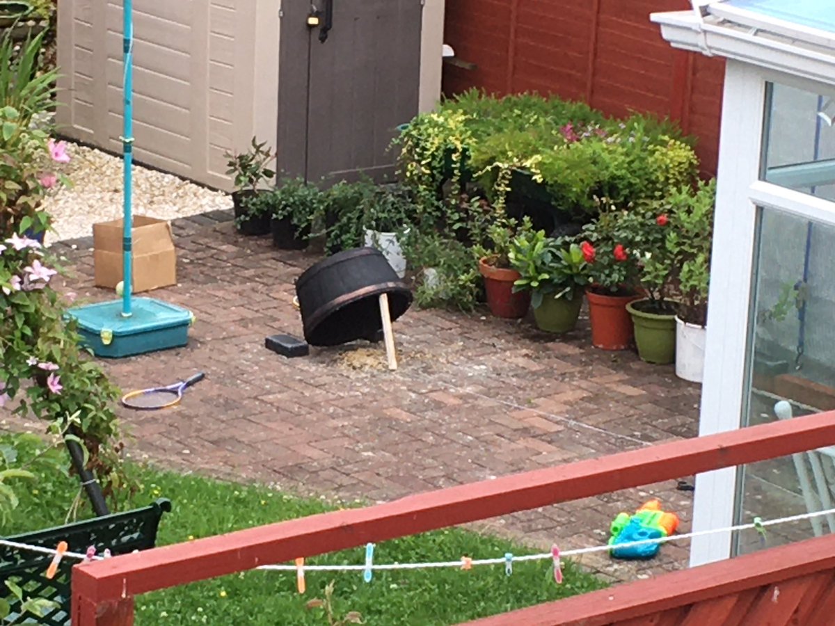 RAT UPDATE: we’ve had an upgrade to the system, but not the architecture, as we now have a barrel-like planter.Original box forced to watch to atone for its failure.