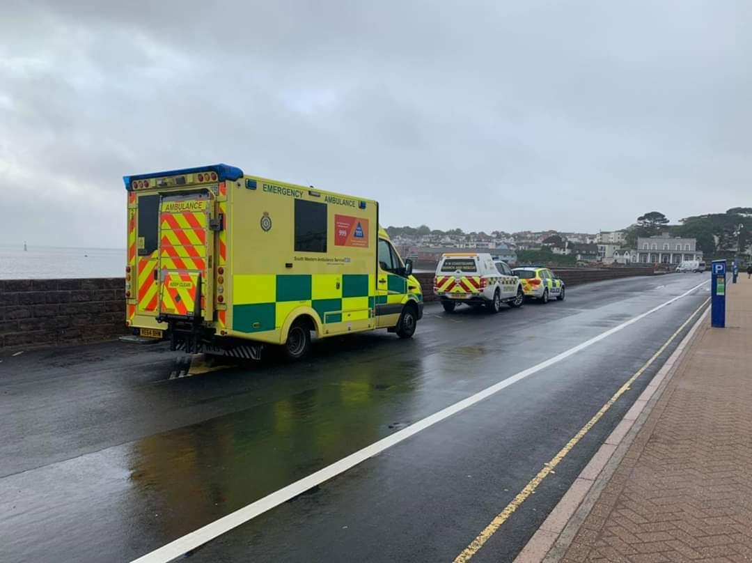 South Devon IRC Sgt tweet media