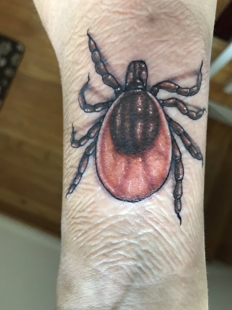 Jareè Johnson tweet media