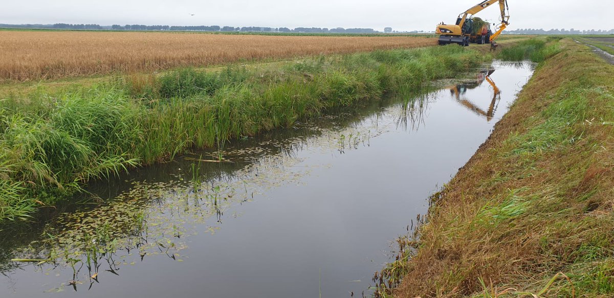 WUR_Valthermond's tweet image. Nieuwe #proef aangelegd! Onderwerp: sloot en talud beheer 🌻🐛🐝🌱🐞