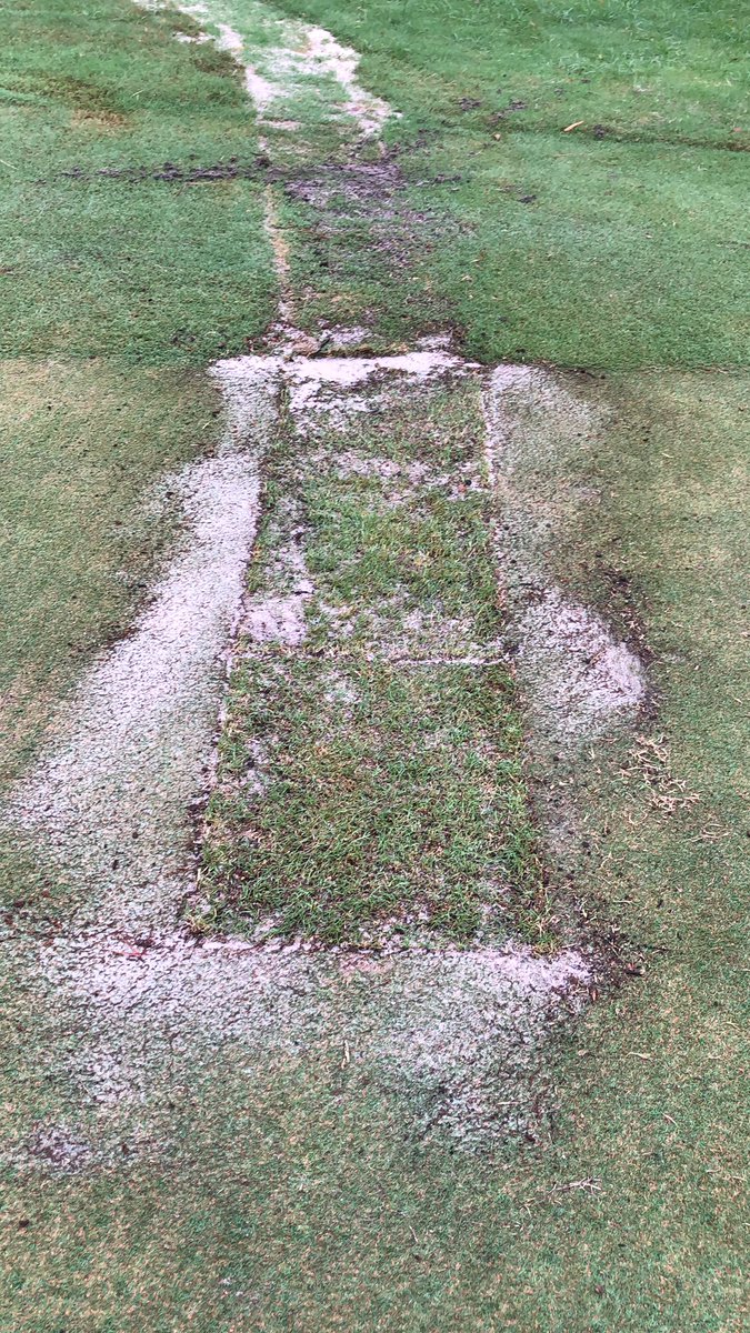 However, new sod is in place now.  Thanks to Kevin Bryant with King Ranch Turf!