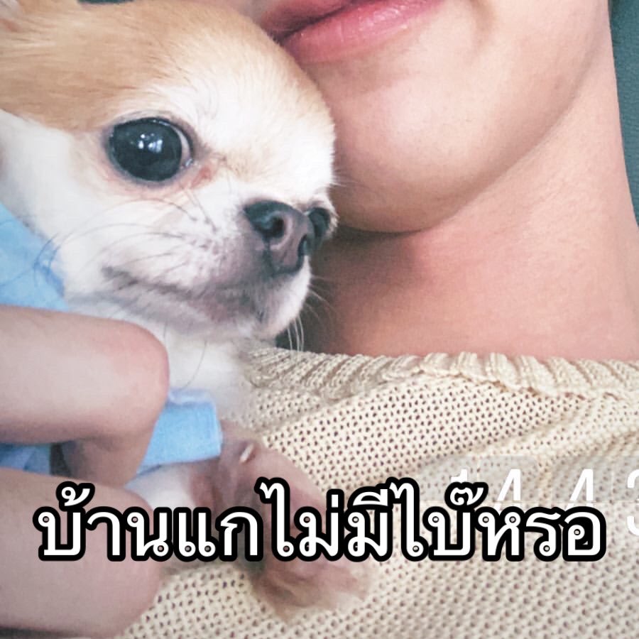 mykt ♡ tweet media
