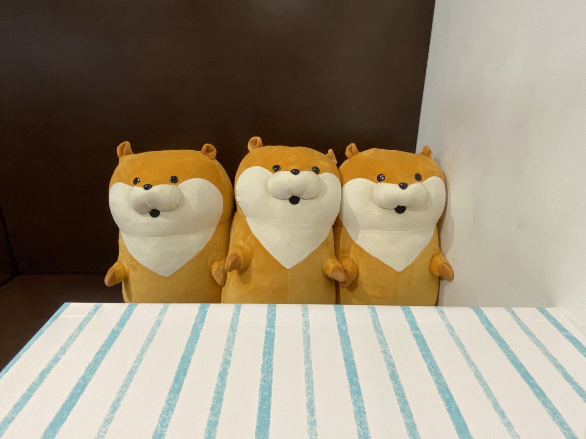 The Guest Cafe Diner 心斎橋パルコ店 可愛い嘘のカワウソカフェ 大阪 ただいまカフェは待ち時間なくご利用いただけます お買い物の休憩にいかがでしょうか 心斎橋にお越しの際は是非お立ち寄り下さい 可愛い嘘のカワウソ コラボカフェ