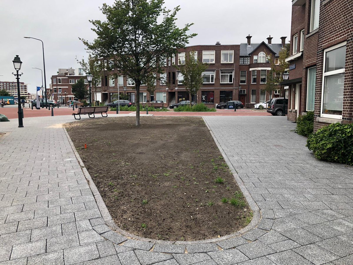 Dennis Groenewold tweet media