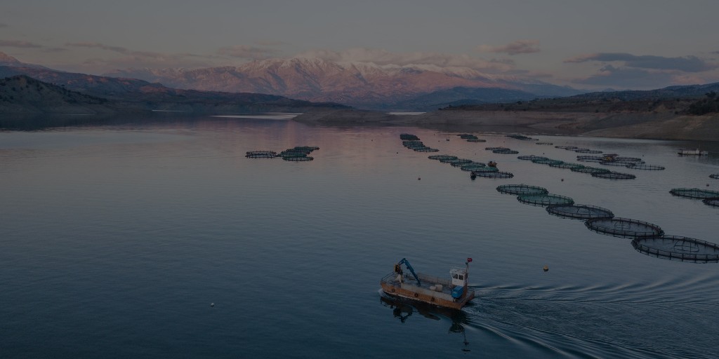 SykesSeafood's tweet photo. As a major importer of fish and seafood, we are committed to sourcing from sustainable, well managed and responsible fishing areas and aquaculture regions. #ASC

#sustainablefishing #fishing #fish #aquaculture #seafood #sustainablesourcing #frozenisfresh #sykesseafood #ascaqua https://t.co/XUj1Lbalom