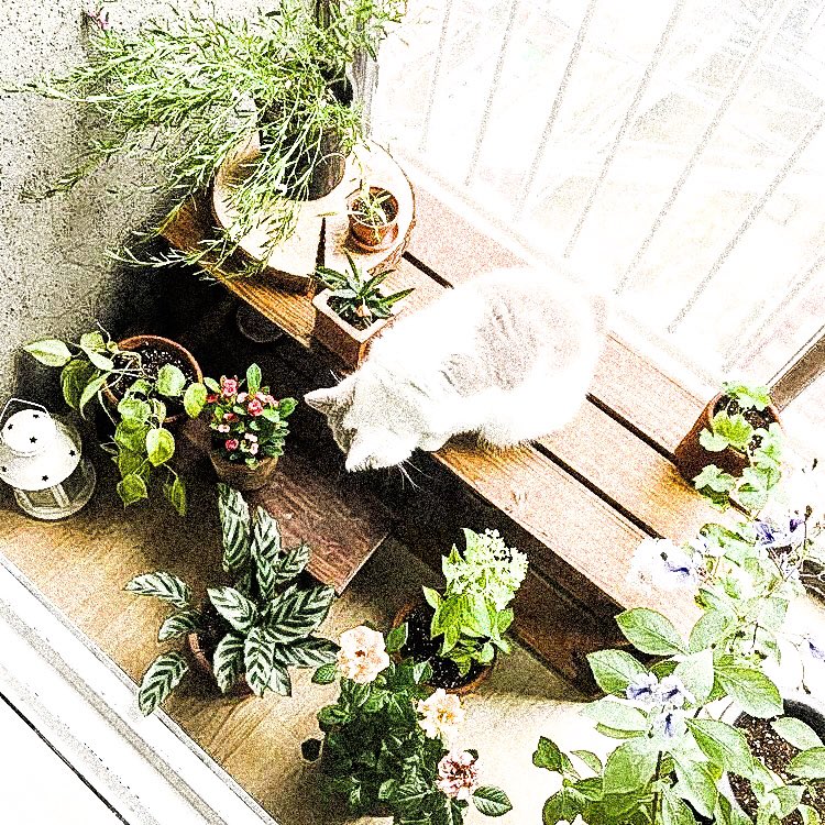 . # 𝓫obbidi 𝓫oo ! 🌱 。

            °  หมี่กรอบ  ‧̣̥̇  𝓽aehyung  ✿ 
                  ヾ𝓯oll 🧃𝓽alk 。

 . # ลฟตท *