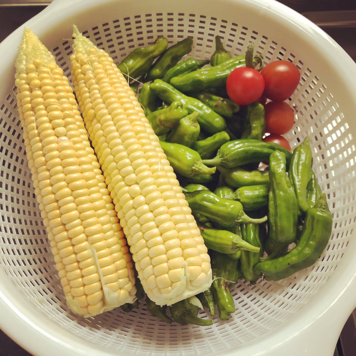 三洋自動車 Sanyojidousya Twitter