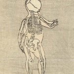 main image of this resource