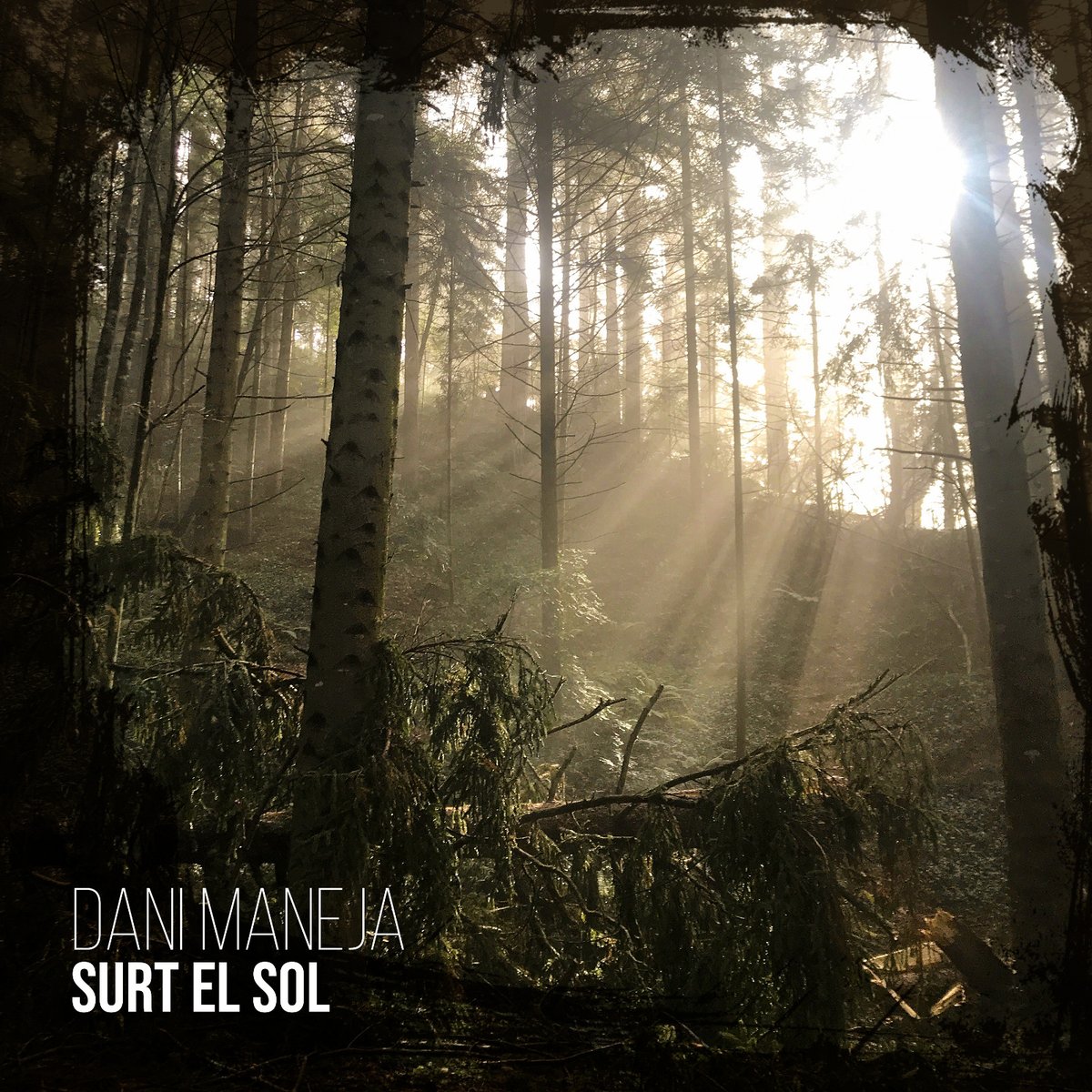 OnaCatRadio's tweet photo. Avui a les 11h, Dani Maneja @DaniManeja ens presentarà "Surt el sol" @CreaMusicBCN Descarrega't la nostra app gratuïta. https://t.co/TS6mgoyIak