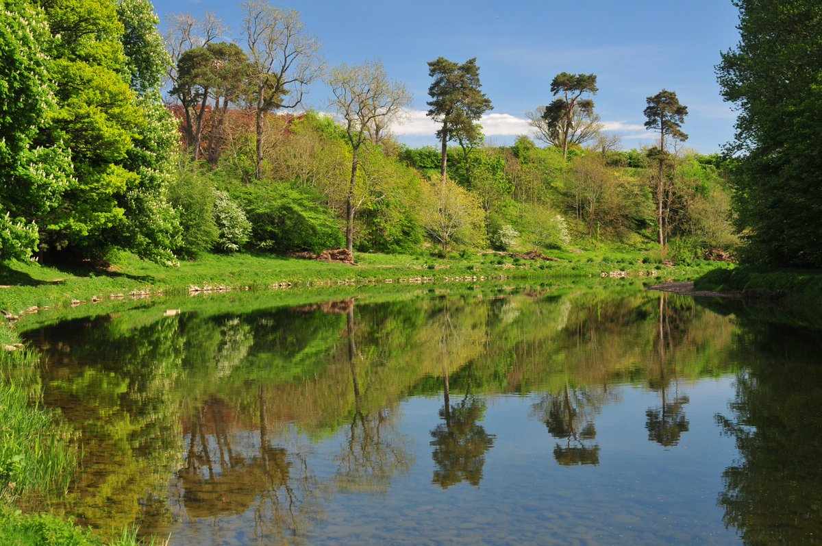If you're a farmer/land manager/community group in the #scottishborders why not take a look at our Borders Tree Planting Grant Scheme? It offers up to £1,000 towards the capital costs of landscape tree planting. tweedforum.org/our-work/borde…