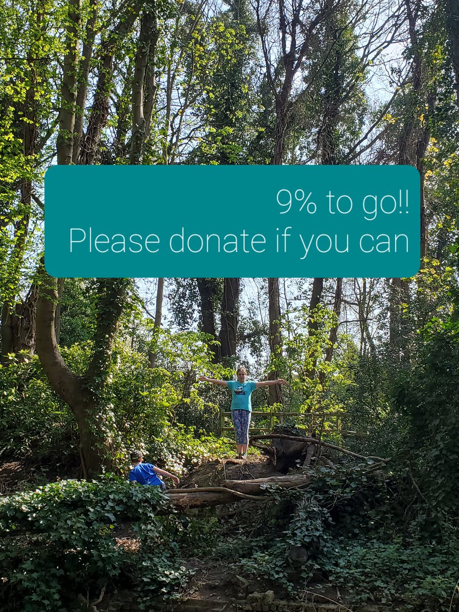 OurGipsyHill's tweet photo. The fantastic @SaveOaks team are down to the final 9% to fund the design work to repair the bridge whilst keeping the trees. 

Let's count them down. Please donate here
#keepthetrees
#repairthebridge 
#WINWIN

https://t.co/GysVdSOIE4 https://t.co/MkiREvqbVq