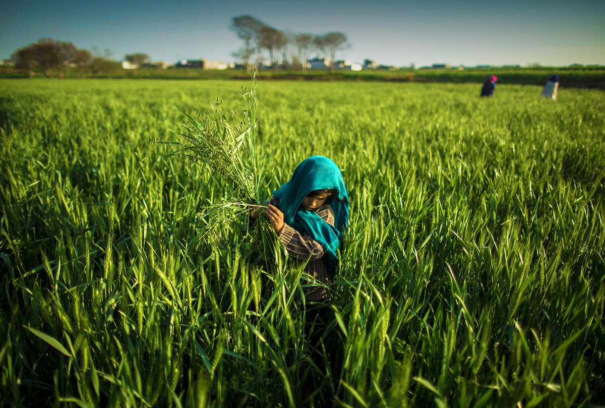 ANDE East Africa tweet media