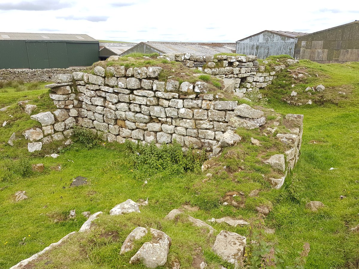 DiscoverhistPH's tweet photo. On Wednesday we walked along Walltown Crags on #HadriansWall to Sunday's finishing point at #SycamoreGap.This is a brilliant area to see the #Wall @EnglishHeritage @EHHadriansWall #walkingthewall #DHTour.Further information can be found on our #facebook page #walkthewall https://t.co/aRjJZ2fetY