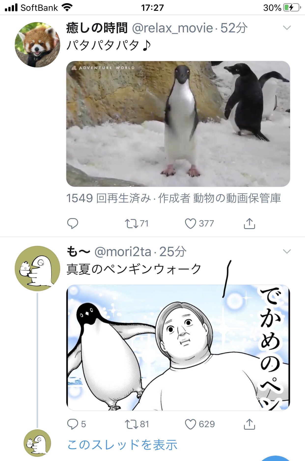 も V Twitter 真夏のペンギンウォーク T Co Cbe1wkzo1s Twitter