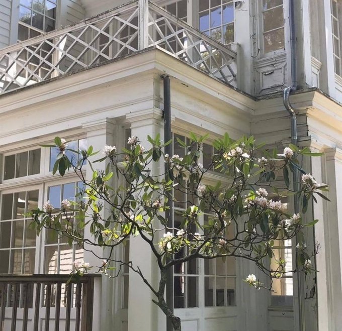 Watch em's leaked NSFW photo on TwXstars