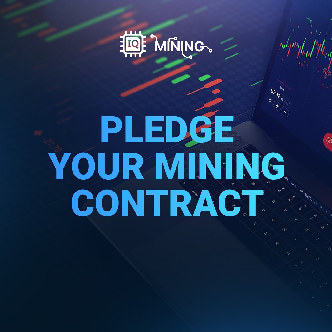 iqminingcom's tweet image. Did you know you can pledge your cloud mining contract and multiply your profit! 💯

1) Pledge your contract and get up to 100% from your contract cost.

2) Get trading funds to your account immediately.

3) Trade and multiply your profit.💵