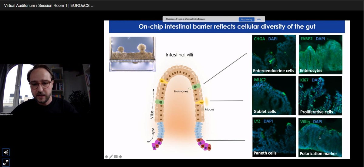 Joram Mooiweer just gave a talk at the #EUROoCS about the impressive work and the results he and his group achieved in the research on Celiac disease on chip. #NOCI #organsonchip