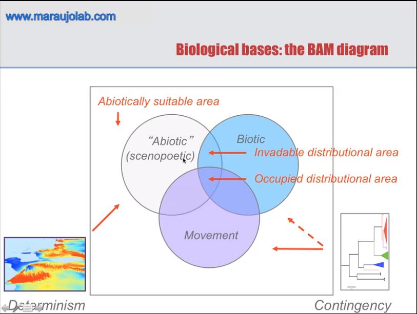 Plants_EFSA's tweet photo. A very interesting presentation was just given by @DarrenKriticos from @CSIRO on the use of #CLIMEX in #PRA. Now it is the turn of @MiguelArajoBas1 from @csic on #SpeciesDistributionModelling (#SDM). We hope that our observers are enjoying this morning session as we do! https://t.co/lDQ0jwy3T6