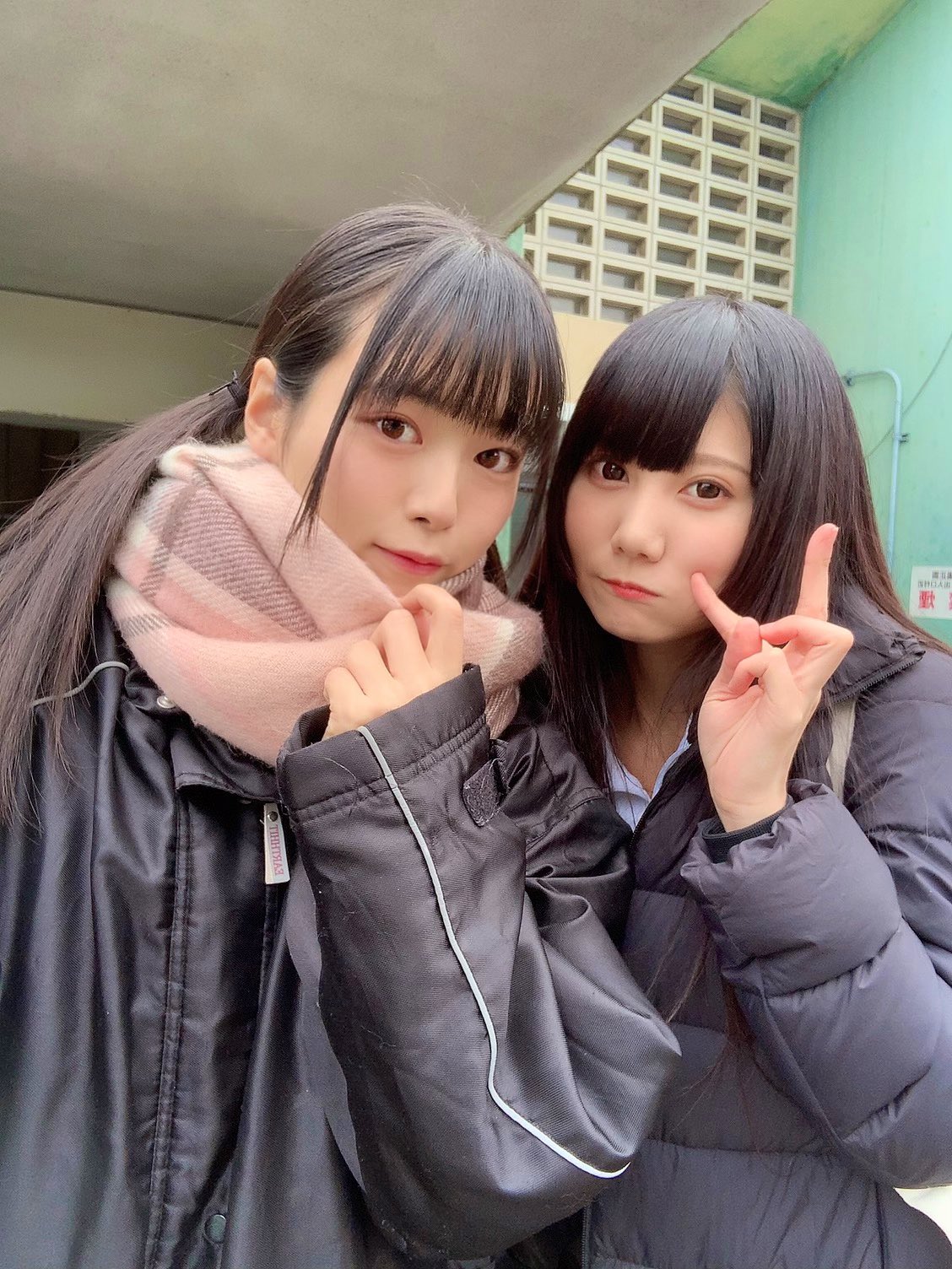 ☆特典7点セット（実写映画作品/活火秀人/じょりく！) Amazon.co.jp: /DVD じょりく JORIKU 西葉瑞希/活火秀人 原作